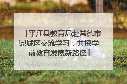 平江县教育局赴常德市鼎城区交流学习，共探学前教育发展新路径