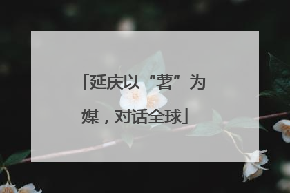 延庆以“薯”为媒，对话全球