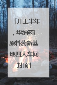 开工半年，华纳药厂原料药新基地四大车间封顶
