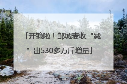 开镰啦！邹城麦收“减”出530多万斤增量