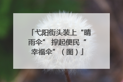 弋阳街头装上“晴雨伞” 撑起便民“幸福伞”（图）
