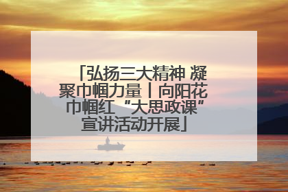 弘扬三大精神 凝聚巾帼力量丨向阳花巾帼红“大思政课”宣讲活动开展