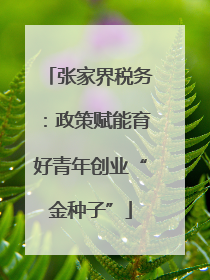 张家界税务：政策赋能育好青年创业“金种子”