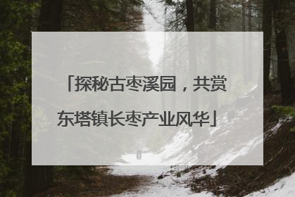 探秘古枣溪园，共赏东塔镇长枣产业风华