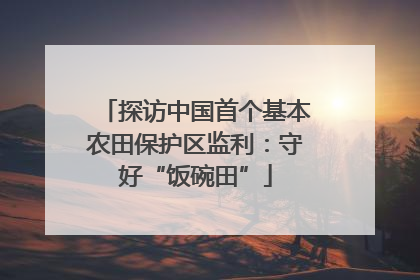 探访中国首个基本农田保护区监利：守好“饭碗田”