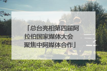 总台亮相第四届阿拉伯国家媒体大会 聚焦中阿媒体合作