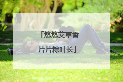悠悠艾草香 片片粽叶长