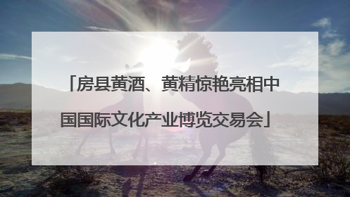 房县黄酒、黄精惊艳亮相中国国际文化产业博览交易会