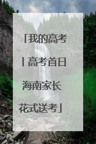 我的高考丨高考首日 海南家长花式送考