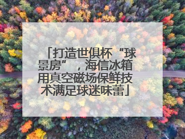 打造世俱杯“球景房”，海信冰箱用真空磁场保鲜技术满足球迷味蕾