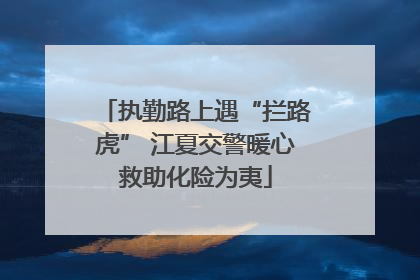 执勤路上遇“拦路虎” 江夏交警暖心救助化险为夷