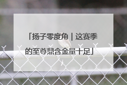 扬子零度角｜这赛季的至尊鼎含金量十足