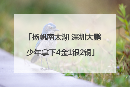 扬帆南太湖 深圳大鹏少年拿下4金1银2铜