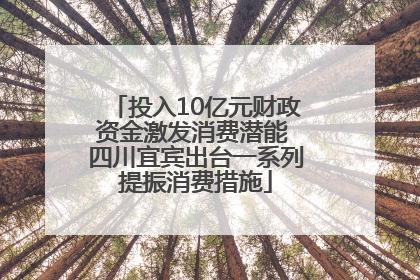 投入10亿元财政资金激发消费潜能 四川宜宾出台一系列提振消费措施
