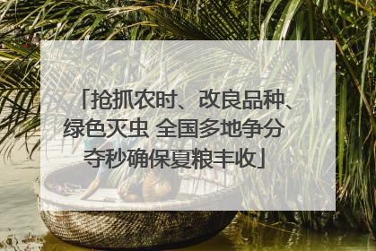 抢抓农时、改良品种、绿色灭虫 全国多地争分夺秒确保夏粮丰收