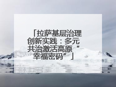 拉萨基层治理创新实践：多元共治激活高原“幸福密码”