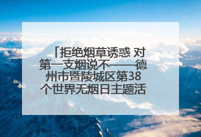 拒绝烟草诱惑 对第一支烟说不——德州市暨陵城区第38个世界无烟日主题活动走进校园
