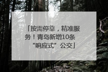 按需停靠，精准服务！青岛新增10条“响应式”公交