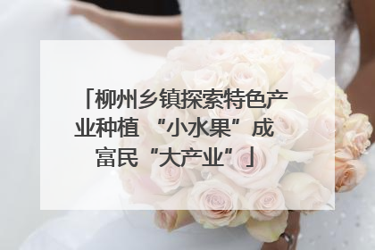 柳州乡镇探索特色产业种植 “小水果”成富民“大产业”