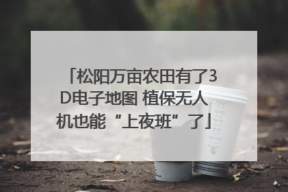 松阳万亩农田有了3D电子地图 植保无人机也能“上夜班”了