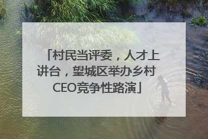 村民当评委，人才上讲台，望城区举办乡村CEO竞争性路演