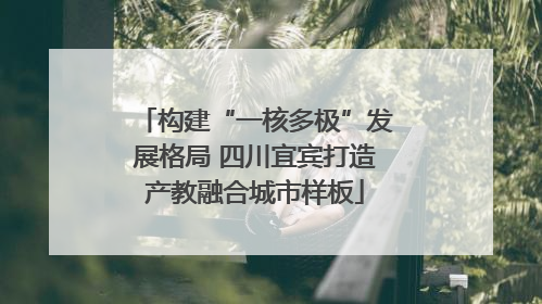 构建“一核多极”发展格局 四川宜宾打造产教融合城市样板