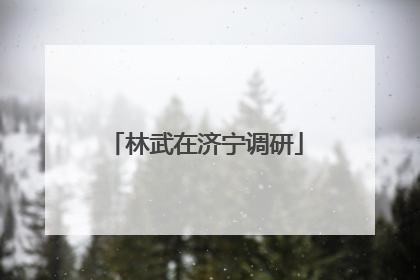 林武在济宁调研