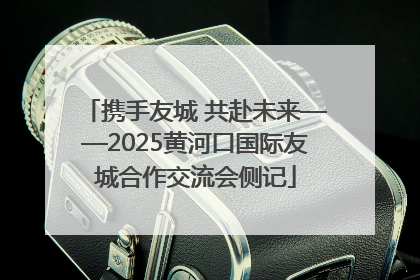 携手友城 共赴未来——2025黄河口国际友城合作交流会侧记