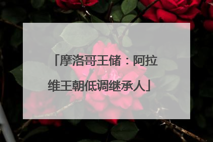 摩洛哥王储：阿拉维王朝低调继承人