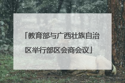 教育部与广西壮族自治区举行部区会商会议
