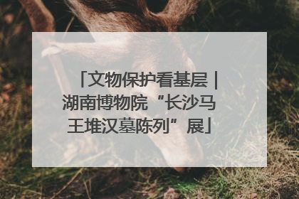 文物保护看基层｜湖南博物院“长沙马王堆汉墓陈列”展