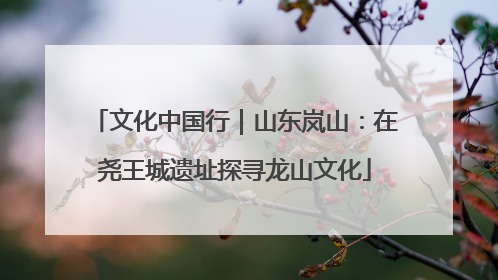 文化中国行｜山东岚山：在尧王城遗址探寻龙山文化