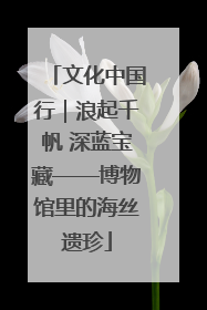 文化中国行｜浪起千帆 深蓝宝藏——博物馆里的海丝遗珍