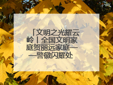 文明之光耀云岭丨全国文明家庭贺丽远家庭——警徽闪耀处 家风铸忠诚