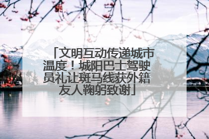 文明互动传递城市温度！城阳巴士驾驶员礼让斑马线获外籍友人鞠躬致谢