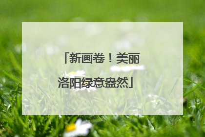 新画卷！美丽洛阳绿意盎然
