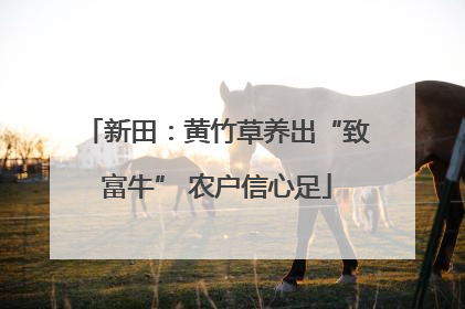 新田：黄竹草养出“致富牛” 农户信心足