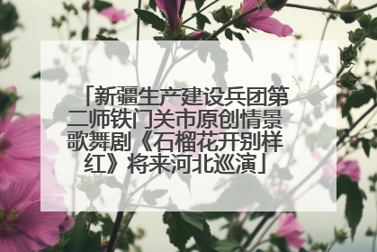 新疆生产建设兵团第二师铁门关市原创情景歌舞剧《石榴花开别样红》将来河北巡演