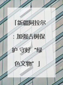 新疆阿拉尔：加强古树保护 守好“绿色文物”