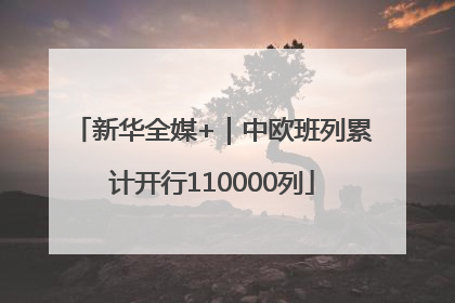 新华全媒+｜中欧班列累计开行110000列