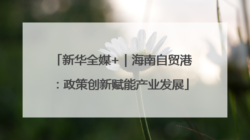 新华全媒+｜海南自贸港：政策创新赋能产业发展