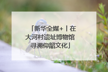 新华全媒+丨在大河村遗址博物馆寻溯仰韶文化