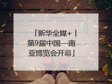新华全媒+丨第9届中国—南亚博览会开幕