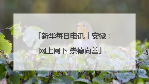 新华每日电讯丨安徽：网上网下 崇德向善
