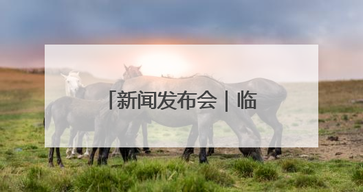 新闻发布会｜临沂市推动“四大改革”任务，提升内部审计监督效能