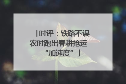 时评：铁路不误农时跑出春耕抢运“加速度”