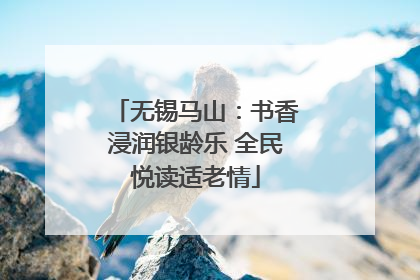 无锡马山：书香浸润银龄乐 全民悦读适老情