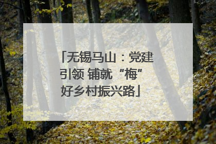 无锡马山：党建引领 铺就“梅”好乡村振兴路