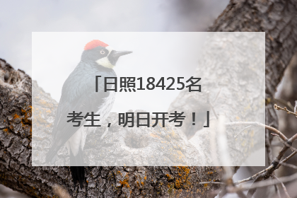 日照18425名考生，明日开考！