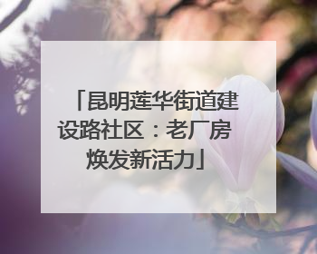 昆明莲华街道建设路社区：老厂房焕发新活力